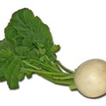 turnip vegetables cook root turnip 1129